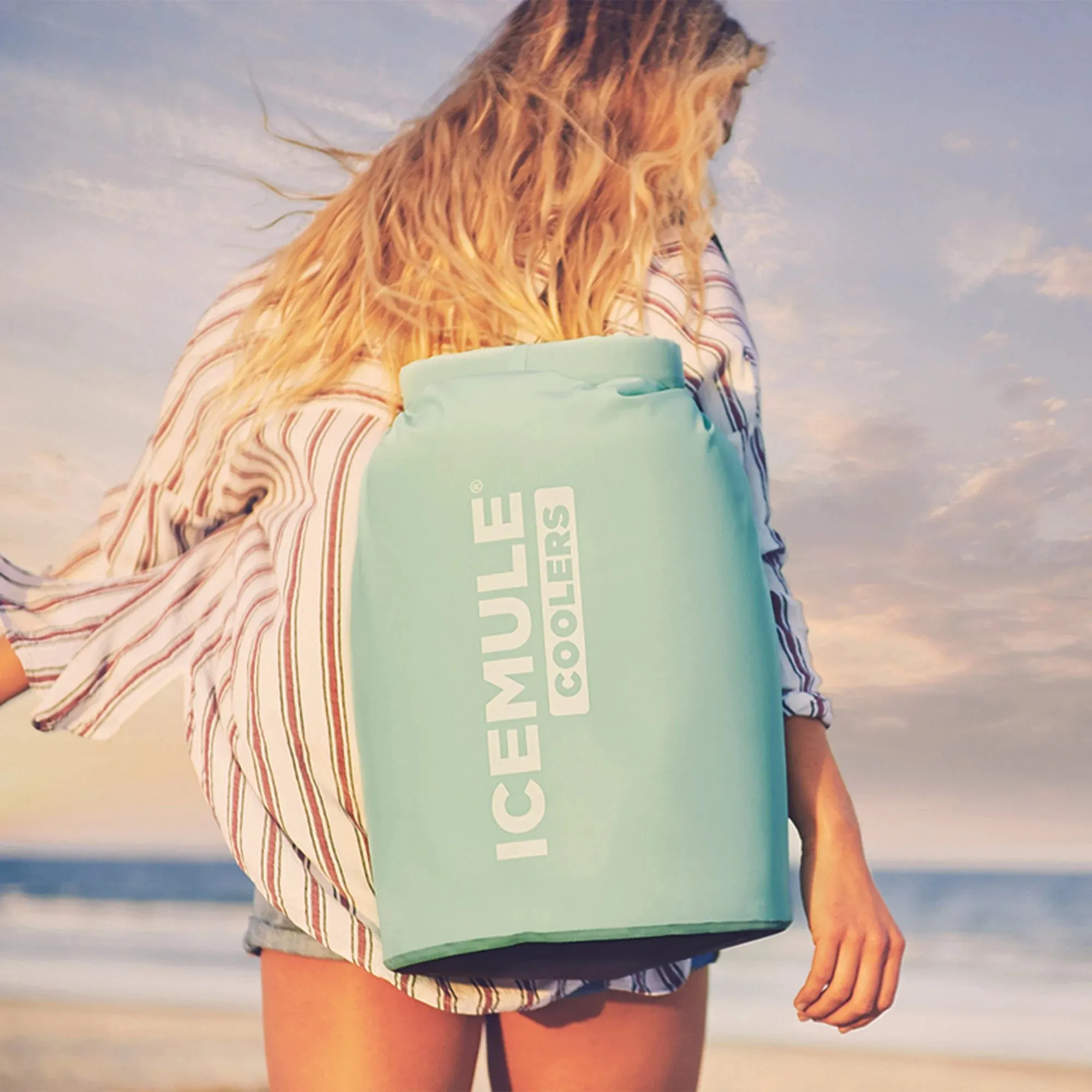 Classic™ Large 20L